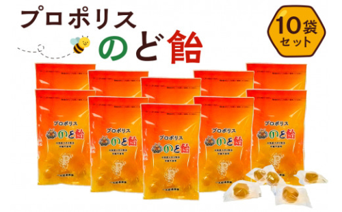 プロポリスのど飴　10袋【 栃木県 那須塩原市 】 ns008-016 2325159 - 栃木県那須塩原市