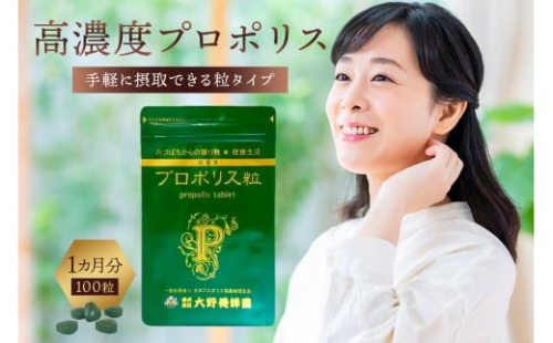 高濃度プロポリス粒　1カ月分　(100粒)【 栃木県 那須塩原市 】 ns008-022 2325161 - 栃木県那須塩原市