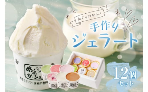 手作りジェラート12個セット【あぐりのかふぇ】 ns029-002 2325211 - 栃木県那須塩原市