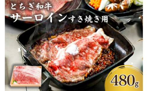 とちぎ和牛サーロインすき焼き用 ns032-005 2325217 - 栃木県那須塩原市