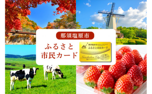 那須塩原市　ふるさと市民カード【 体験 チケット 栃木県 那須塩原市 】 ns056-001 2325292 - 栃木県那須塩原市