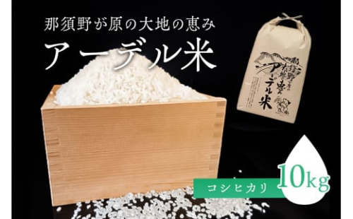 【令和6年産米】那須野が原の大地の恵み アーデル米（コシヒカリ10kg）＜出荷開始：2024年10下旬～＞ ns061-001 2325295 - 栃木県那須塩原市