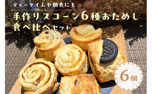 【ティータイムや朝食にも】手作りスコーン6種おためし食べ比べセット【 栃木県 那須塩原市 】 ns068-002 2325313 - 栃木県那須塩原市
