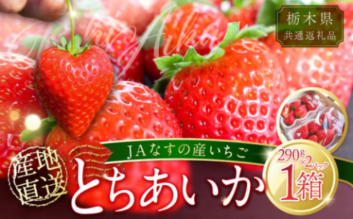 【栃木県共通返礼品】JAなすの産いちご 産地直送 とちあいか 1箱（290g×2パック）【数量限定】ns084-002 【いちご フルーツ 果物 品種 オリジナル 甘さ デザート ビタミンC 葉酸 ハート形】 2325315 - 栃木県那須塩原市