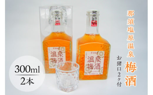 那須塩原温泉梅酒(お猪口2ヶ付)【 お酒 栃木県 那須塩原市 】 ns049-010 2325322 - 栃木県那須塩原市