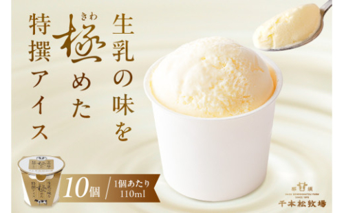 生乳の味を極めた特撰アイス10個セット 【千本松牧場】 ns025-011-10 【お菓子 スイーツ 詰め合わせ アイスクリーム 牛乳 ギフト】 2325329 - 栃木県那須塩原市