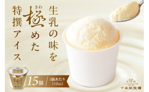 生乳の味を極めた特撰アイス15個セット 【千本松牧場】 ns025-011-15 【お菓子 スイーツ 詰め合わせ アイスクリーム 牛乳 ギフト】 2325330 - 栃木県那須塩原市