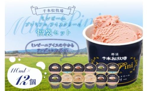 福袋セット（ミレピーニアイス12個セット）【千本松牧場】 ns025-014-12 【アイスクリーム スイーツ デザート お菓子 詰め合わせ】 2325361 - 栃木県那須塩原市