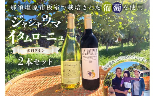 ジャジャウマ・イタムローニュ　赤白ワイン2本セット ns107-001 【お酒 ワイン マスカットベーリーA シャルドネ ソーヴィニヨンブラン】 2325366 - 栃木県那須塩原市
