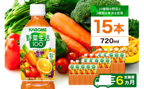 【定期便6ヵ月】カゴメ 野菜生活100 オリジナル 720ml 15本 ns111-024 【KAGOME 野菜飲料 野菜ジュース 野菜果実ミックスジュース ペットボトル飲料 健康】 2325415 - 栃木県那須塩原市