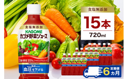 【定期便6ヵ月】カゴメ 野菜ジュース 食塩無添加 720ml 15本 ns111-027 【KAGOME 野菜飲料 ペットボトル飲料 健康 GABA トマト 野菜100％】 2325421 - 栃木県那須塩原市