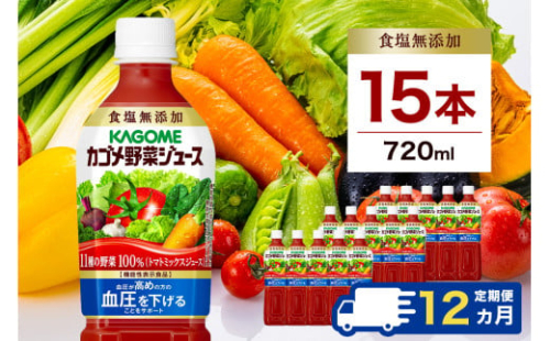 【定期便12ヵ月】カゴメ 野菜ジュース 食塩無添加 720ml 15本 ns111-028 【KAGOME 野菜飲料 ペットボトル飲料 健康 GABA トマト 野菜100％】 2325423 - 栃木県那須塩原市