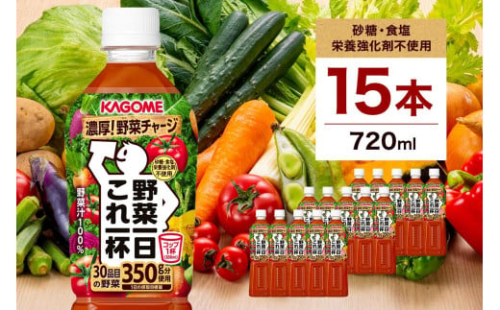 カゴメ 野菜一日これ一杯 720ml 15本 ns111-014-15【KAGOME ジュース 野菜 トマト 飲料 食物繊維 ビタミン】 2325427 - 栃木県那須塩原市