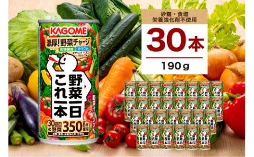 カゴメ 野菜一日これ一本 190g 30本 ns111-014-30【KAGOME ジュース 野菜 トマト 飲料 食物繊維 ビタミン】 2325428 - 栃木県那須塩原市