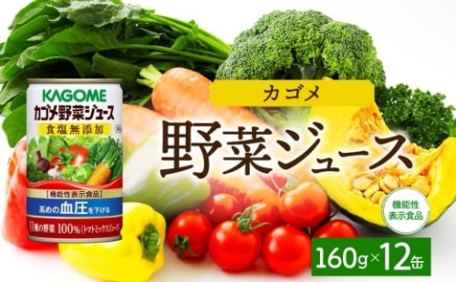 カゴメ野菜ジュース食塩無添加160g×12 ns038-042 【缶 機能性表示食品 食塩不使用 無塩 緑黄色野菜 野菜ジュース 飲料 ドリンク 健康 GABA 血圧 KAGOME】 2325467 - 栃木県那須塩原市