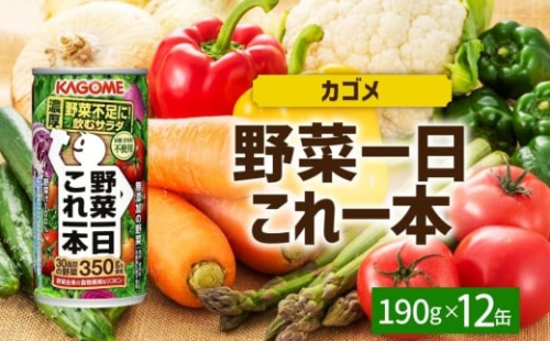 野菜一日これ一本190g×12 ns038-044 【缶 野菜ジュース ミックスジュース リコピン βカロテン KAGOME】 2325469 - 栃木県那須塩原市