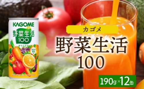 野菜生活１００オリジナル190g×12 ns038-045 【缶 野菜ジュース 果実 ミックスジュース オリジナル フルーティー β-カロテン KAGOME】 2325470 - 栃木県那須塩原市