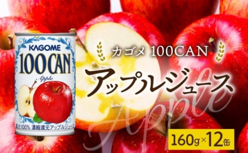 １００ＣＡＮアップル160g×12 ns038-046 【缶 りんご ジュース 朝食 軽食 おやつ お弁当 飲み切り ゼリー シャーベット フロート KAGOME】 2325471 - 栃木県那須塩原市