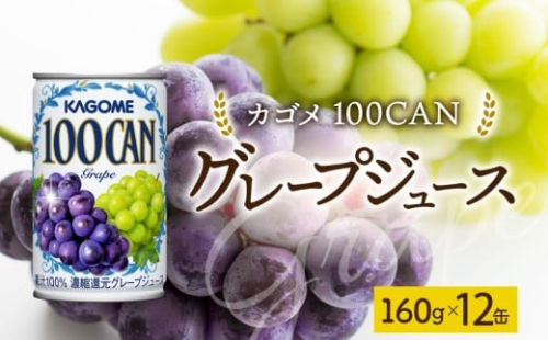 １００ＣＡＮグレープ160g×12 ns038-047 【缶 ぶどう ジュース 朝食 軽食 おやつ お弁当 飲み切り ゼリー シャーベット フロート KAGOME】 2325472 - 栃木県那須塩原市