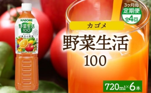 【定期便】3ヵ月毎全4回野菜生活100 オリジナル 720mlPET ns038-063 【ペットボトル 野菜 果実 オリジナル ミックスジュース β-カロテン フルーティー KAGOME】 2325475 - 栃木県那須塩原市