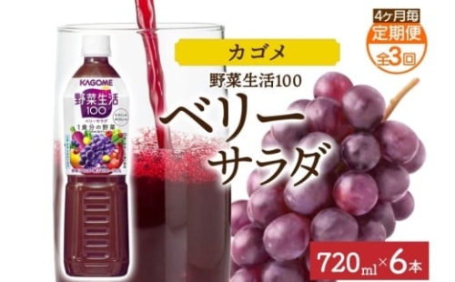 【定期便】4ヵ月毎全3回野菜生活100 ベリーサラダ 720mlPET ns038-074 【ペットボトル 野菜 果実 ベリー ミックスジュース β-カロテン フルーティー 紫野菜 KAGOME】 2325491 - 栃木県那須塩原市