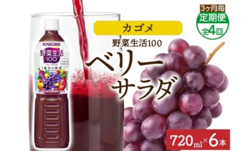 【定期便】3ヵ月毎全4回野菜生活100 ベリーサラダ 720mlPET ns038-075 【ペットボトル 野菜 果実 ベリー ミックスジュース β-カロテン フルーティー 紫野菜 KAGOME】 2325492 - 栃木県那須塩原市