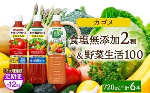【定期便】12ヵ月連続食塩無添加トマトジュース・野菜ジュース・野菜生活100オリジナル各2本 計6本 ns038-092 【ペットボトル 野菜 トマト 食塩無添加 セット 詰合せ 機能性表示食品 果実 ミックスジュース リコピン GABA KAGOME】 2325505 - 栃木県那須塩原市