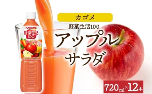 野菜生活100 アップルサラダ 720mlPET×12 ns038-060-12【ペットボトル 野菜ジュース 野菜生活 飲料 ドリンク 健康 野菜 果実 ミックスジュース ビタミン カルシウム KAGOME カゴメ】 2325523 - 栃木県那須塩原市