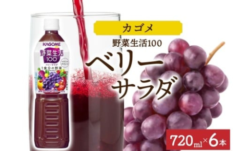野菜生活100 ベリーサラダ 720mlPET×6 ns038-061-6【ペットボトル 野菜ジュース 野菜生活 飲料 ドリンク 健康 野菜 果実 ミックスジュース 鉄分 ポリフェノール KAGOME カゴメ】 2325524 - 栃木県那須塩原市