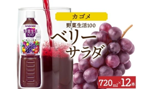 野菜生活100 ベリーサラダ 720mlPET×12 ns038-061-12【ペットボトル 野菜ジュース 野菜生活 飲料 ドリンク 健康 野菜 果実 ミックスジュース 鉄分 ポリフェノール KAGOME カゴメ】 2325525 - 栃木県那須塩原市