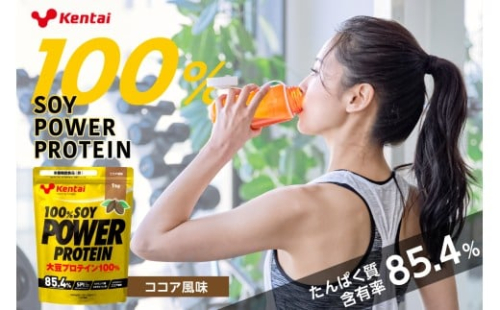 100%SOY POWER PROTEIN ココア風味 ns136-002 【プロテイン タンパク質 植物由来 大豆 ビタミン ミネラル 飲料 健康】 2325535 - 栃木県那須塩原市
