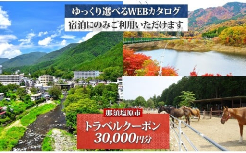 那須塩原市 後から選べる旅行Webカタログで使える！ 旅行クーポン（30,000円分）旅行券 宿泊券 ns124-001【 宿泊 旅行 チケット ワンちゃん 犬連れ 温泉 ビジネス ホテル 宿】 2325546 - 栃木県那須塩原市