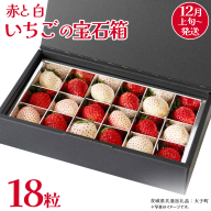 赤いちご と 白いちご の宝石箱18粒【2025年12月上旬発送開始】(茨城県共通返礼品：大子町) いちご 苺 果物 フルーツ 果実
