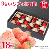 3色いちご の宝石箱18粒【2025年12月上旬発送開始】(茨城県共通返礼品：大子町) いちご 苺 果物 フルーツ 果実