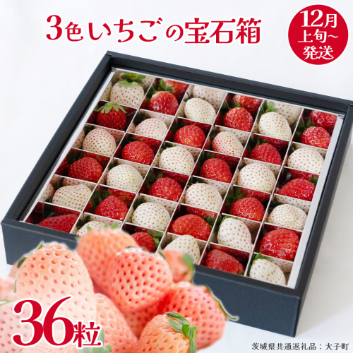3色いちご の宝石箱36粒【2025年12月上旬発送開始】(茨城県共通返礼品：大子町) いちご 苺 果物 フルーツ 果実 2325684 - 茨城県牛久市