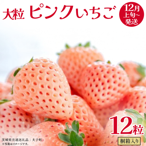 桐箱入り 大粒 ピンクいちご 12粒【2025年12月上旬発送開始】(茨城県共通返礼品：大子町) いちご 苺 果物 フルーツ 果実 2325688 - 茨城県牛久市