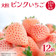 桐箱入り 大粒 ピンクいちご 12粒【2025年12月上旬発送開始】(茨城県共通返礼品：大子町) いちご 苺 果物 フルーツ 果実