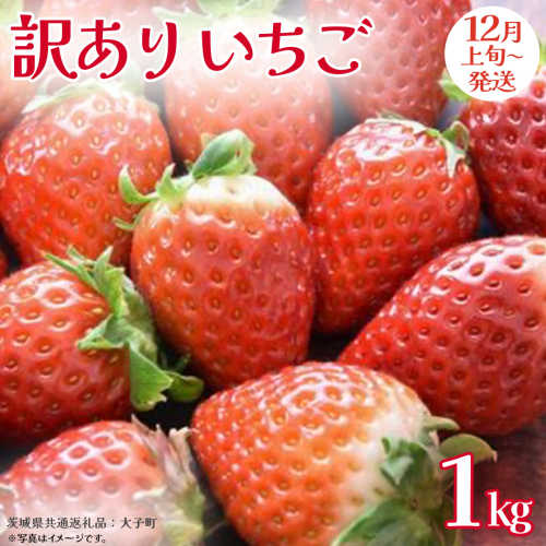 訳あり いちご 1kg【2025年12月上旬発送開始】(茨城県共通返礼品：大子町) 苺 果物 フルーツ 果実 ご家庭用 2325689 - 茨城県牛久市