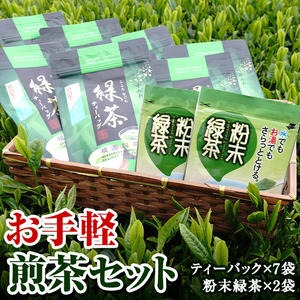 No.112 お手軽煎茶セット【世献 榎園製茶】 2325754 - 鹿児島県日置市