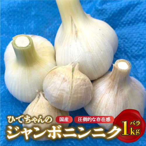 【先行予約】ひでちゃんのジャンボニンニク（バラ）1kg 2325819 - 島根県邑南町