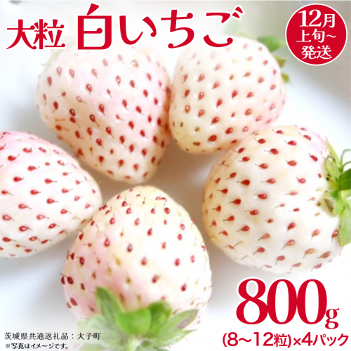 白いちご 大粒 200ｇ（8～12粒）×4パック【2025年12月上旬発送開始】(茨城県共通返礼品：大子町) いちご 苺 果物 フルーツ 果実 2325861 - 茨城県牛久市