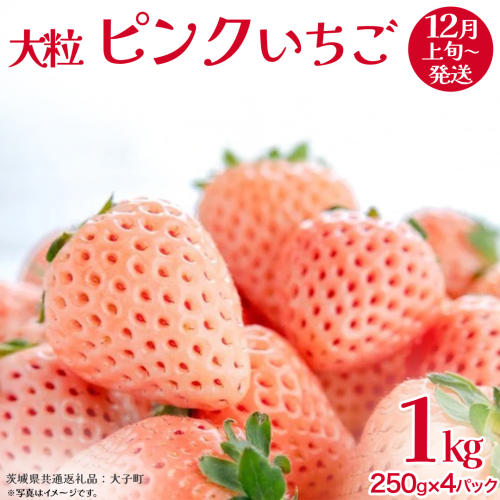 ピンクいちご 大粒 250g（8～12粒）×4パック【2025年12月上旬発送開始】(茨城県共通返礼品：大子町) いちご 苺 果物 フルーツ 果実 2325862 - 茨城県牛久市