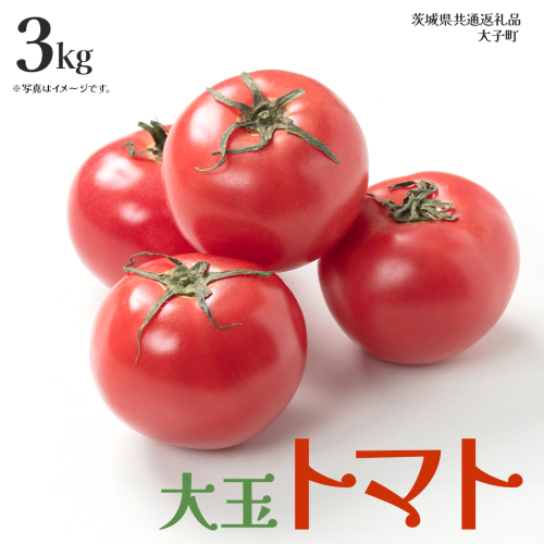 大玉 トマト 3kg (茨城県共通返礼品：大子町) 野菜 フルーツ 旬 季節限定 期間限定 2325961 - 茨城県牛久市