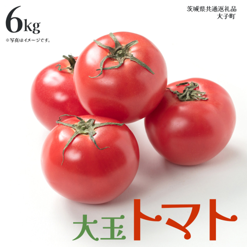 大玉 トマト 6kg (茨城県共通返礼品：大子町) 野菜 フルーツ 旬 季節限定 期間限定 2325962 - 茨城県牛久市