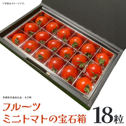 フルーツ ミニトマト の宝石箱 18粒 (茨城県共通返礼品：大子町) 野菜 フルーツ 旬 季節限定 期間限定 2325963 - 茨城県牛久市