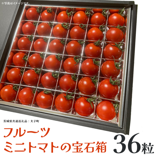 フルーツ ミニトマト の宝石箱 36粒 (茨城県共通返礼品：大子町) 野菜 フルーツ 旬 季節限定 期間限定 2325964 - 茨城県牛久市