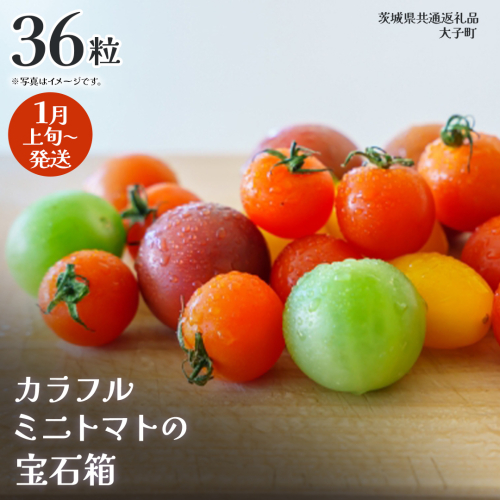 カラフル ミニトマト の宝石箱 36粒【2026年1月上旬発送開始】(茨城県共通返礼品：大子町) 野菜 フルーツ 旬 季節限定 期間限定 2325966 - 茨城県牛久市