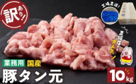 【訳あり・業務用】希少部位！！国産豚タン元(計10kg) 国産 豚肉 豚 肉 タン 豚タン 焼肉 BBQ 訳あり 業務用 つまみ おつまみ 希少部位 冷凍 c8-032