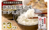 【令和5年産米】新潟県加茂市産コシヒカリ 精米3kg 白米 加茂有機米生産組合