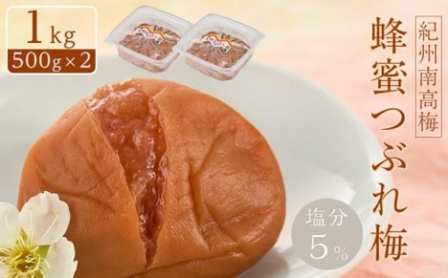 紀州南高梅 蜂蜜つぶれ梅 塩分5％ 1kg (500g×2) ［Kn22］ 2326585 - 和歌山県印南町